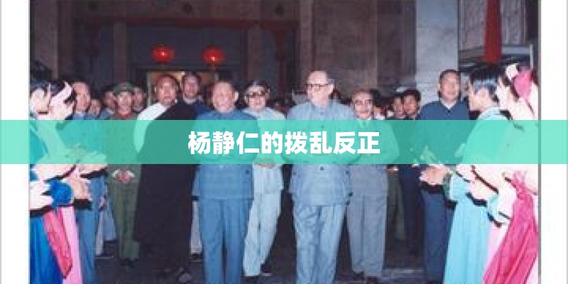 杨静仁的拨乱反正
