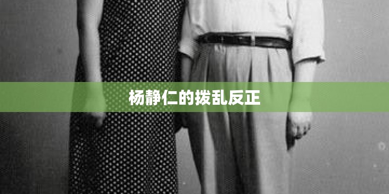 杨静仁的拨乱反正