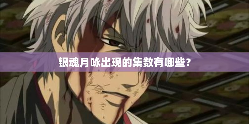 银魂月咏出现的集数有哪些？
