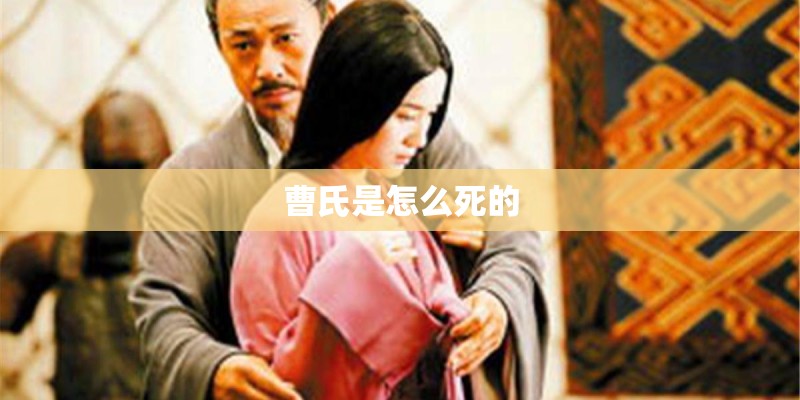 曹氏是怎么死的