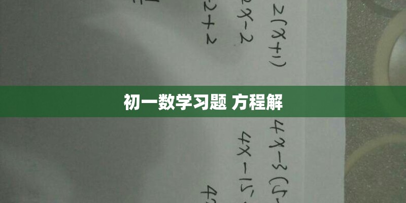初一数学习题 方程解