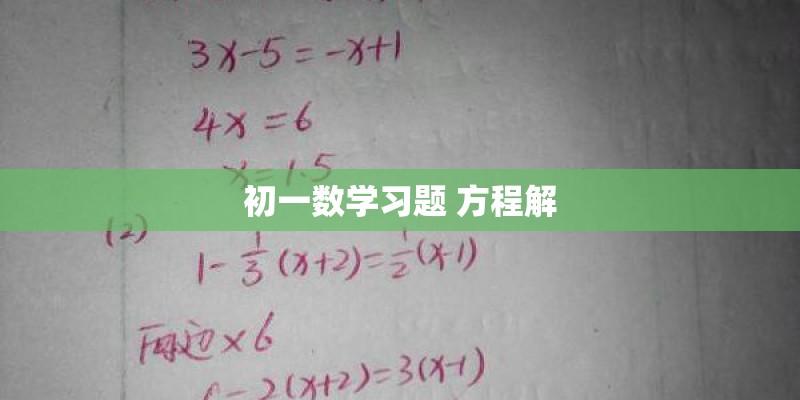 初一数学习题 方程解