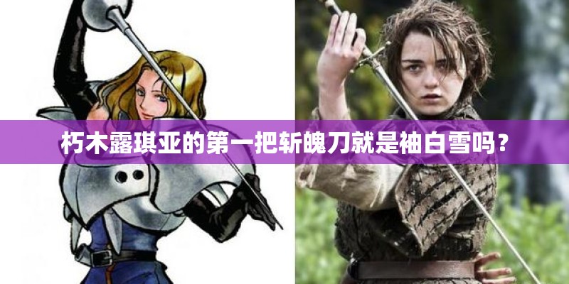 朽木露琪亚的第一把斩魄刀就是袖白雪吗？