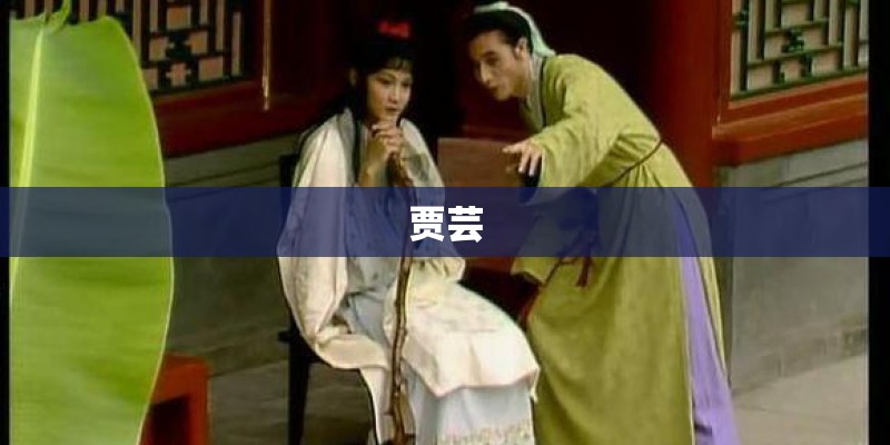 贾芸
