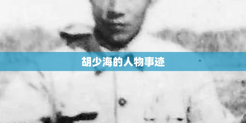胡少海的人物事迹