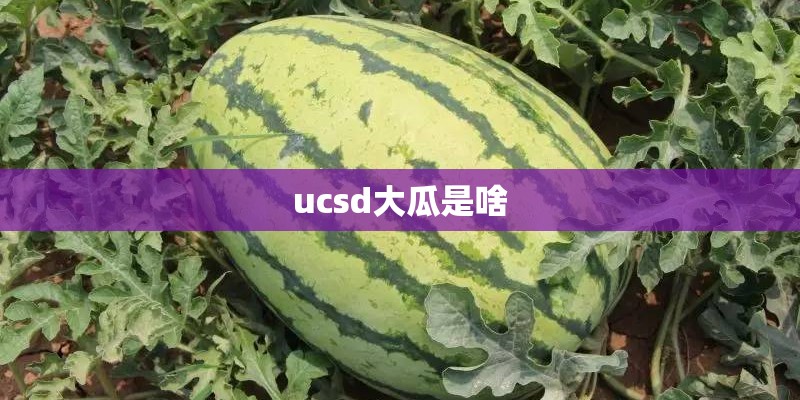 大公司装修靠谱吗