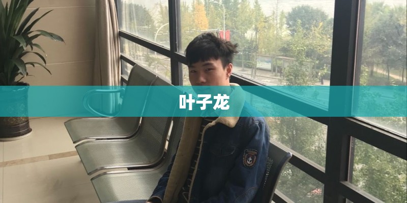 喊出神像名字就能获得传承的小说