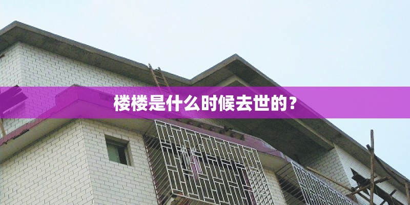楼楼是什么时候去世的？