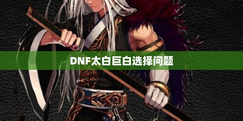 DNF太白巨白选择问题