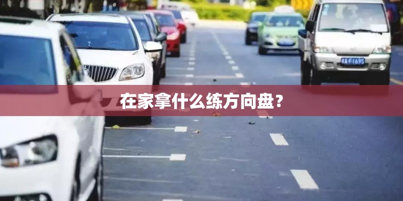 在家拿什么练方向盘？