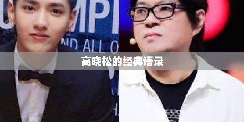 高晓松的经典语录