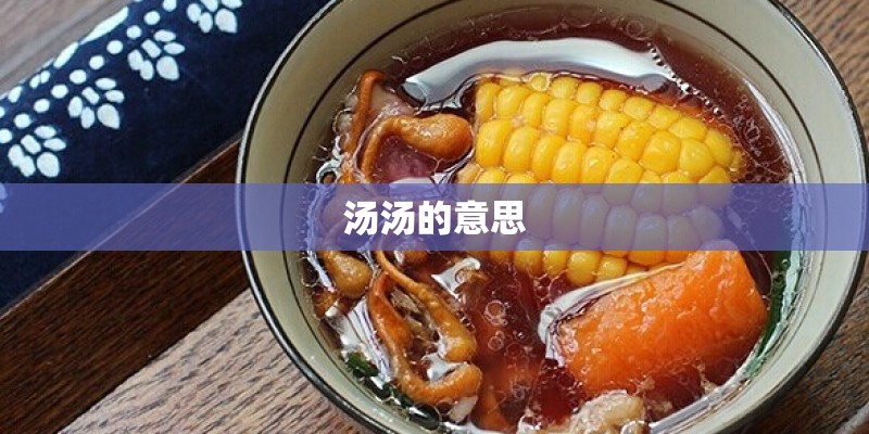 汤汤的意思