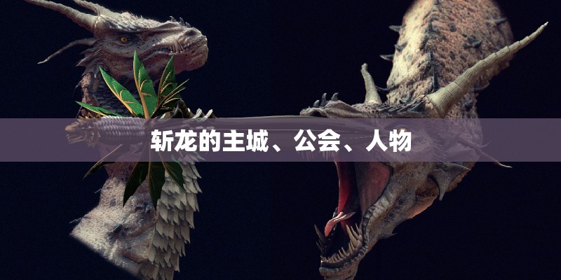 斩龙的主城、公会、人物