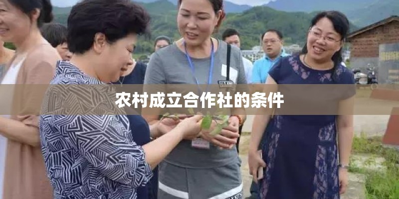 农村成立合作社的条件