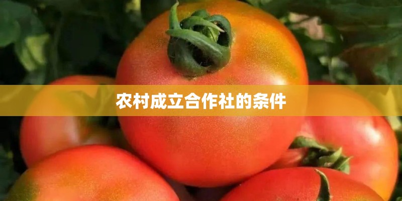 农村成立合作社的条件