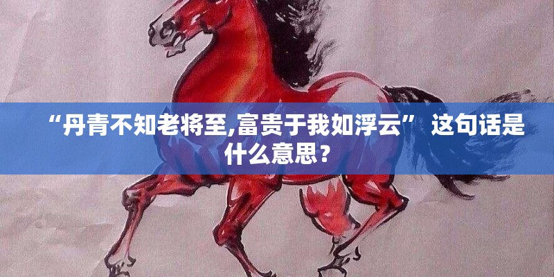 “丹青不知老将至,富贵于我如浮云” 这句话是什么意思？