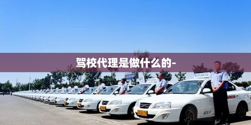驾校代理是做什么的-