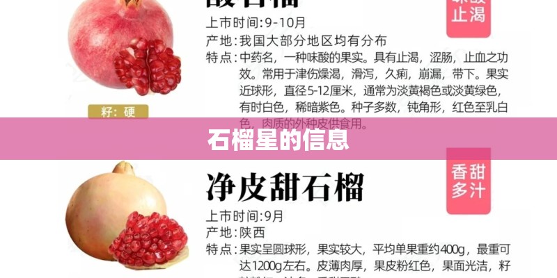 驾校代理是做什么的-