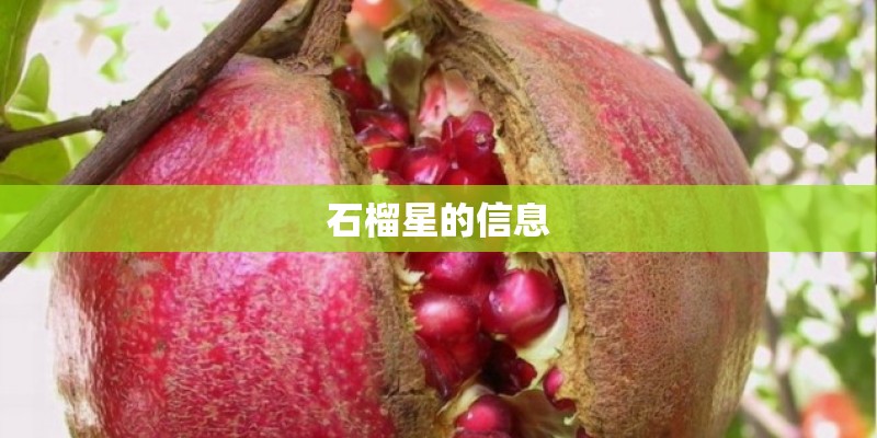 石榴星的信息