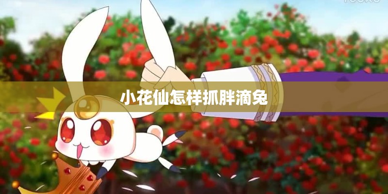 小花仙怎样抓胖滴兔 小花仙怎样抓胖滴兔