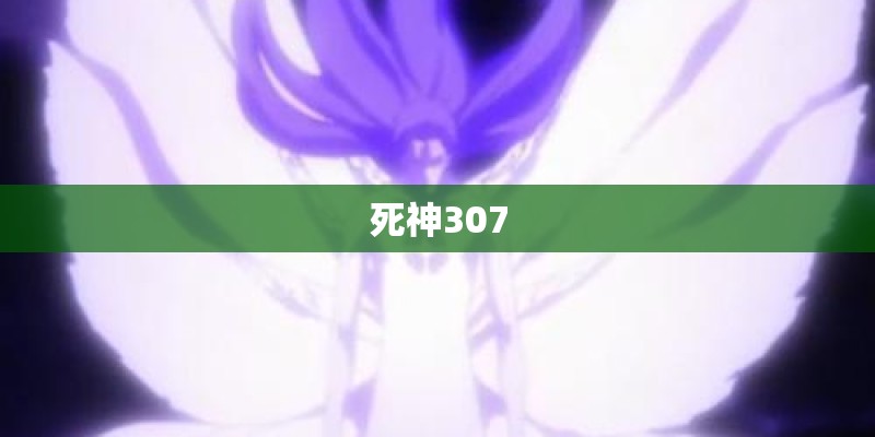 死神307