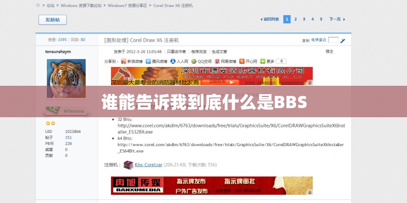 谁能告诉我到底什么是BBS