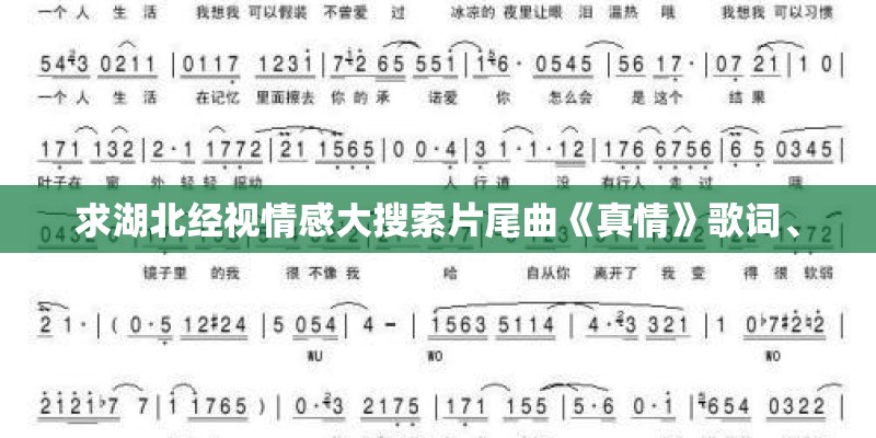 求湖北经视情感大搜索片尾曲《真情》歌词、