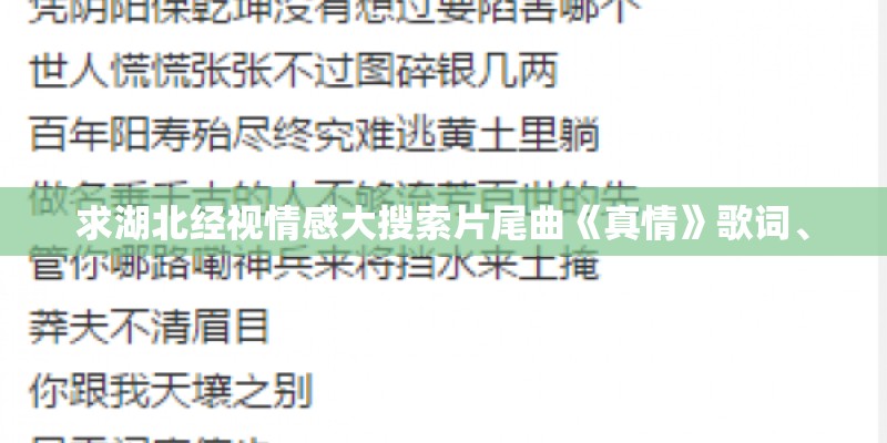 求湖北经视情感大搜索片尾曲《真情》歌词、
