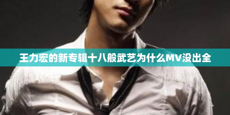王力宏的新专辑十八般武艺为什么MV没出全