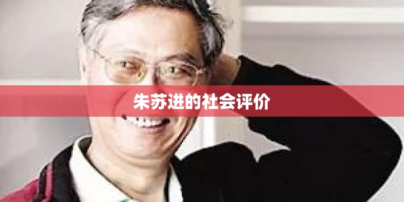 朱苏进的社会评价