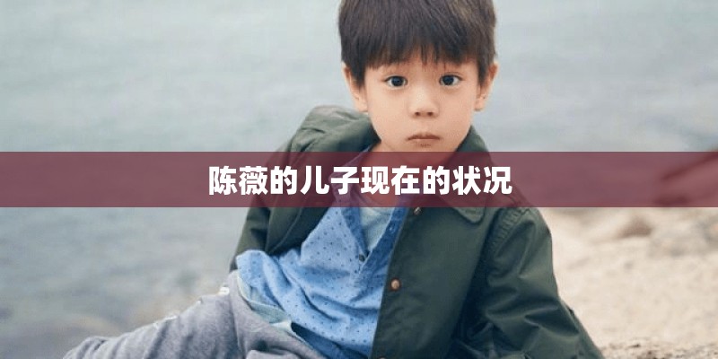 陈薇的儿子现在的状况