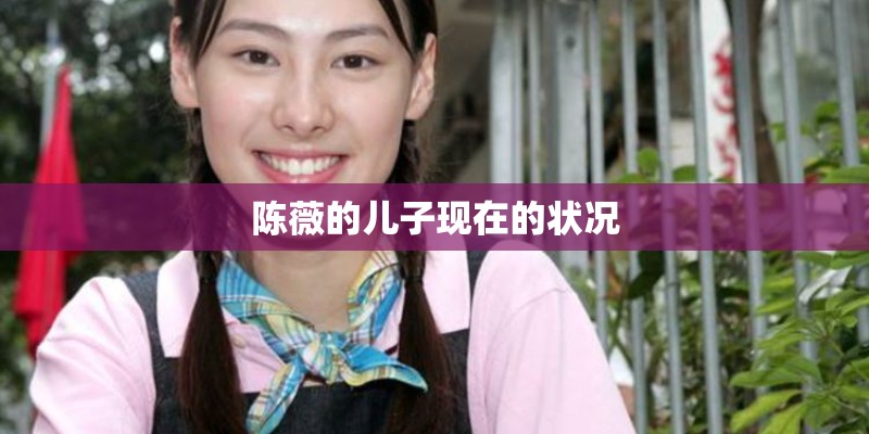 陈薇的儿子现在的状况