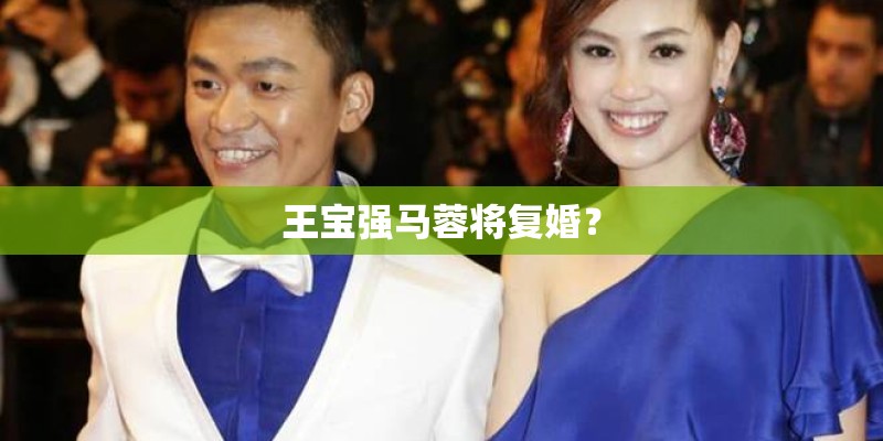 王宝强马蓉将复婚？