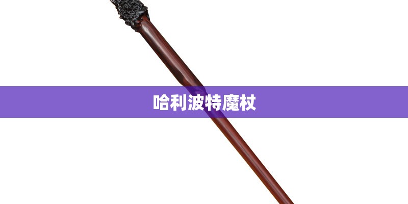 王宝强马蓉将复婚？