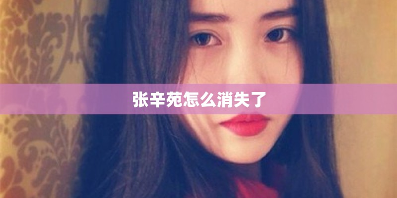 张辛苑怎么消失了