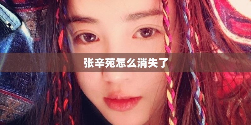 张辛苑怎么消失了