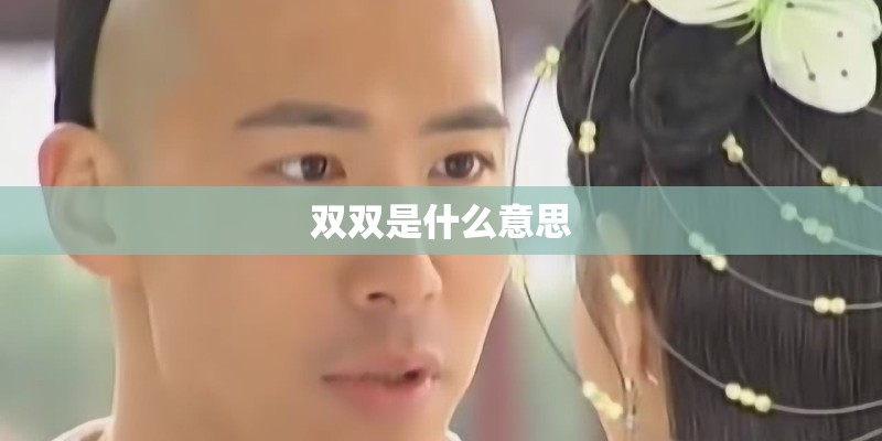 双双是什么意思