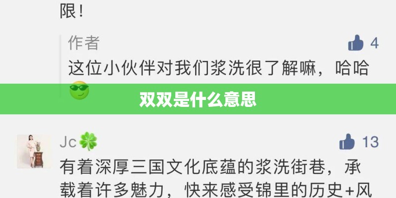 双双是什么意思