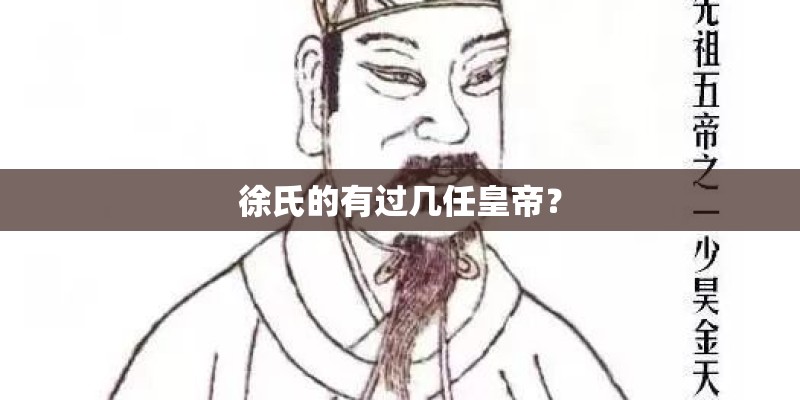 徐氏的有过几任皇帝？