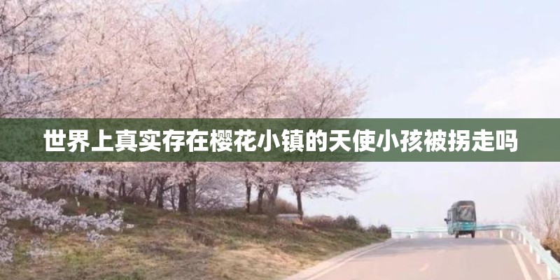 世界上真实存在樱花小镇的天使小孩被拐走吗