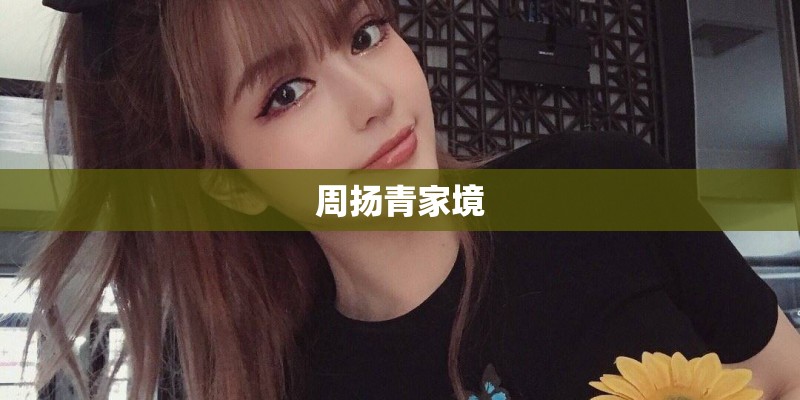 周扬青家境