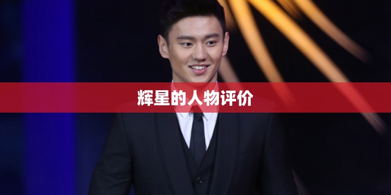 辉星的人物评价