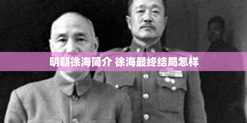 小马宝莉人物介绍