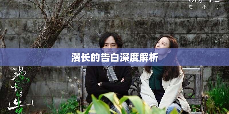 漫长的告白深度解析