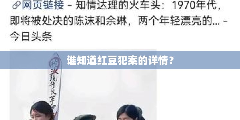 谁知道红豆犯案的详情？