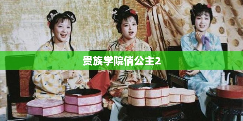贵族学院俏公主2
