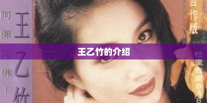 王乙竹的介绍