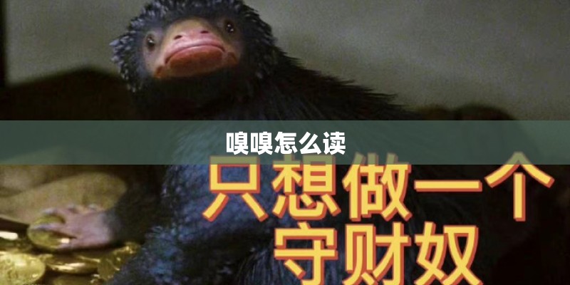 嗅嗅怎么读
