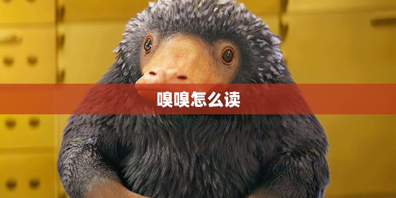 嗅嗅怎么读